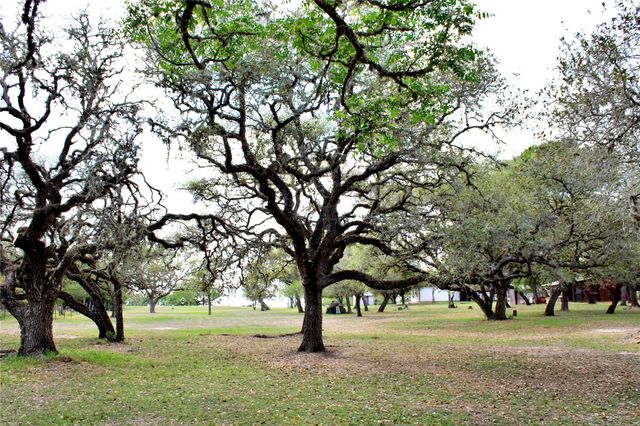 1061 Dee Allen Road, Columbus, TX 78934