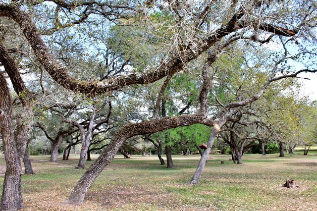 1061 Dee Allen Road, Columbus, TX 78934