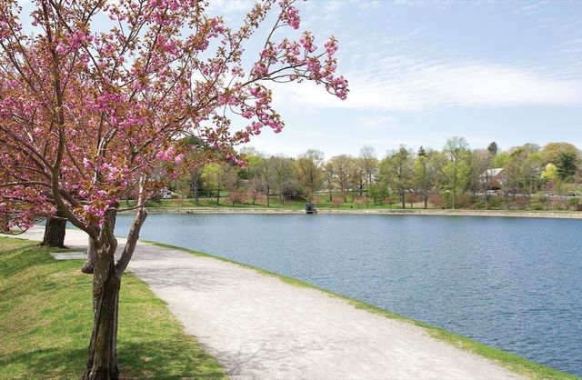 140 Dudley St, Brookline, MA 02445