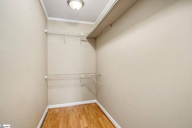 105 Lee Drive, Williamston, SC 29697
