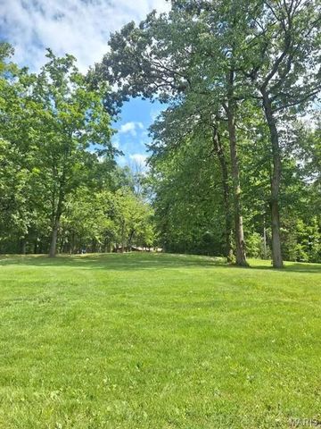 9745 E Cottonwood Lane, Bloomsdale, MO 63627