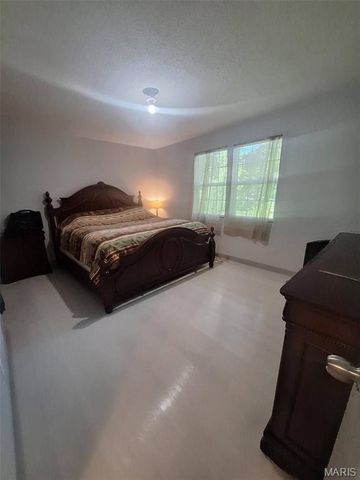 9745 E Cottonwood Lane, Bloomsdale, MO 63627