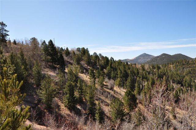 67 Ajax Court, Florissant, CO 80816