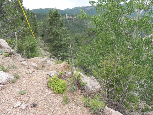 67 Ajax Court, Florissant, CO 80816