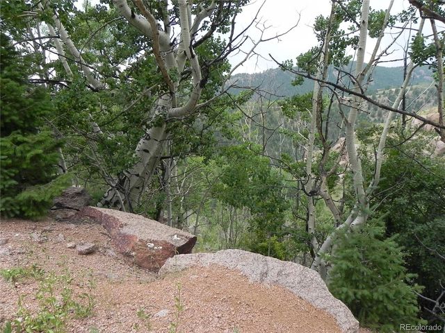 67 Ajax Court, Florissant, CO 80816