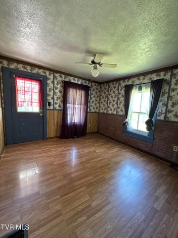 713 Rollers Alley, Bristol, TN 37620