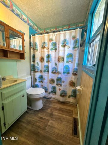 713 Rollers Alley, Bristol, TN 37620
