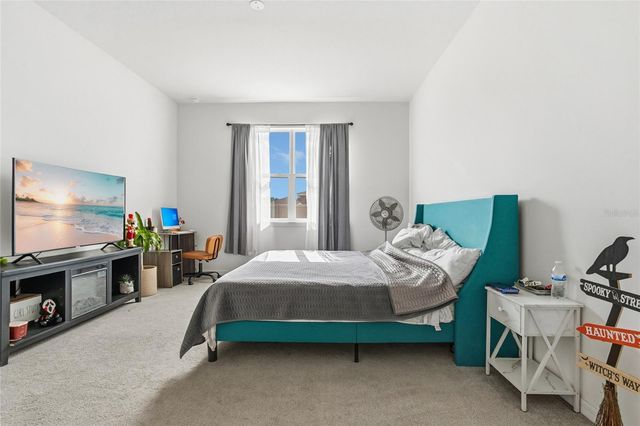 24409 SUNNYS HALO WAY, Sorrento, FL 32776