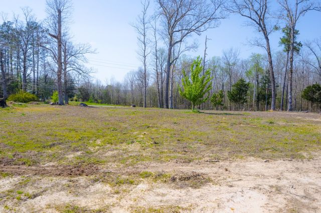 1705 100 HWY W, Decaturville, TN 38329