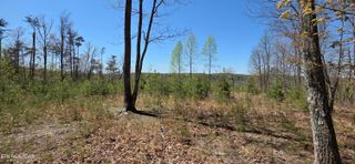 5 Tanner Drive, Monterey, TN 38574