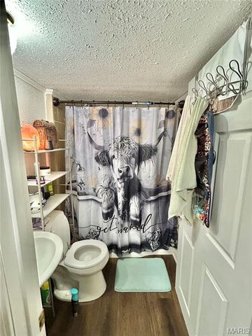 1409 S Washington Street, Salem, MO 65560