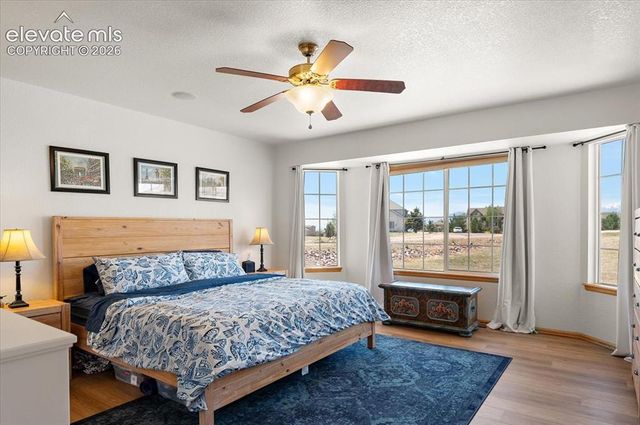 9736 Cairngorm Way, Colorado Springs, CO 80908