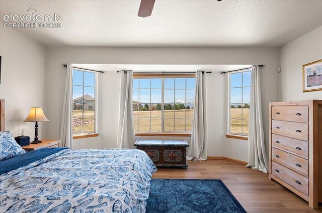 9736 Cairngorm Way, Colorado Springs, CO 80908