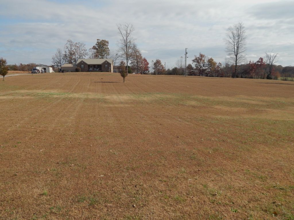 190 Buford Moore Ln, Iron City, TN 38463