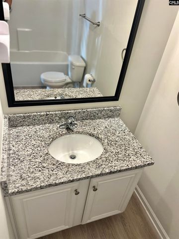 1005 Old Town Road, Irmo, SC 29063