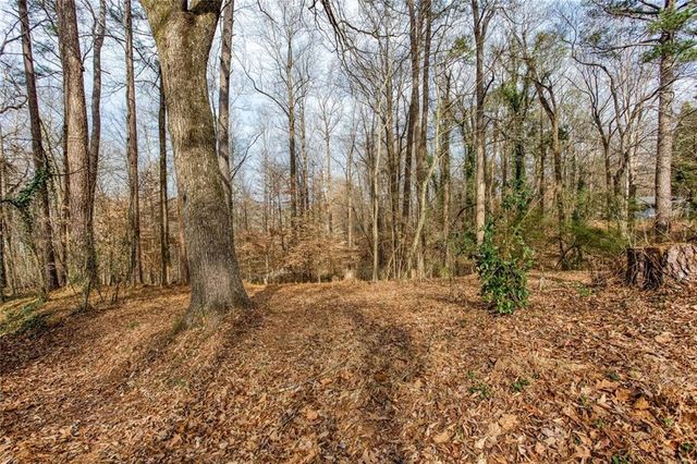 111 Maple Street, Roswell, GA 30075