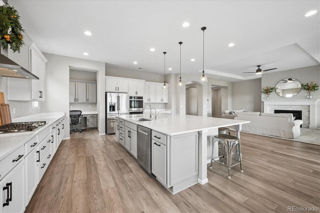 1665 Gentle Rain Drive, Castle Rock, CO 80109