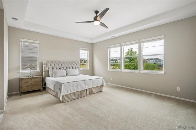 1665 Gentle Rain Drive, Castle Rock, CO 80109