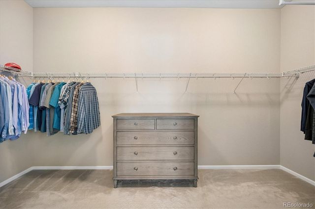 1665 Gentle Rain Drive, Castle Rock, CO 80109