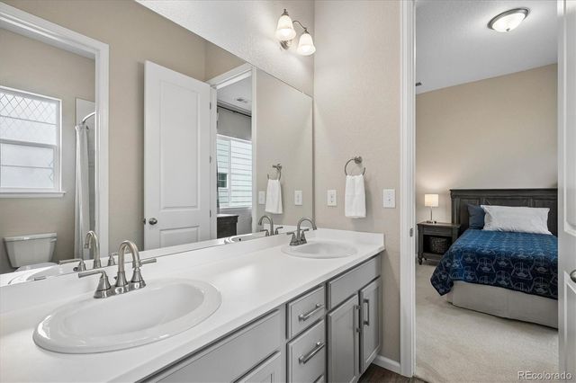 1665 Gentle Rain Drive, Castle Rock, CO 80109