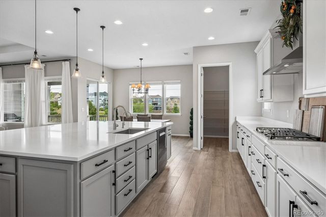 1665 Gentle Rain Drive, Castle Rock, CO 80109