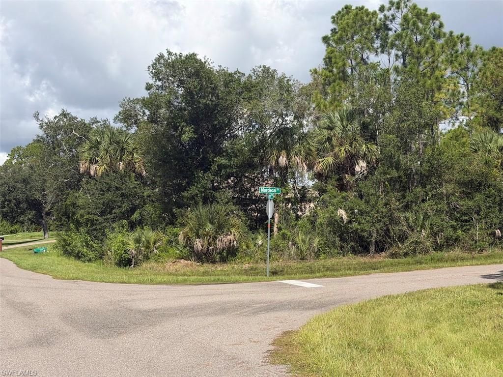 115 Mordecal ST, Port Charlotte, FL 33953