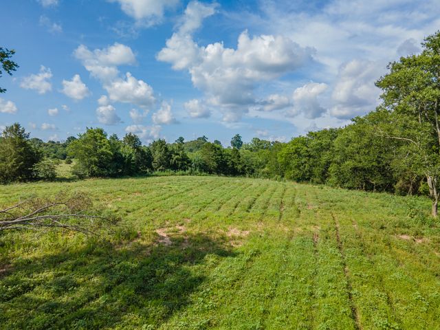 0 Double Branch Rd, Columbia, TN 38401