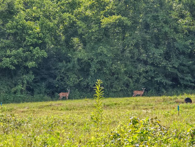 0 Double Branch Rd, Columbia, TN 38401