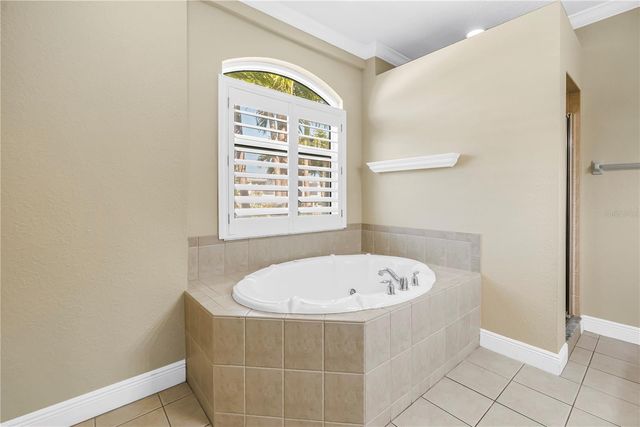 343 8TH AVENUE N, Tierra Verde, FL 33715