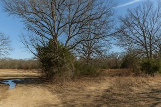 000 Evelyn Street, Hawk Cove, TX 75474