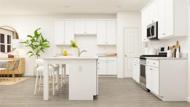 142 Vision Street, Bethlehem, GA 30620