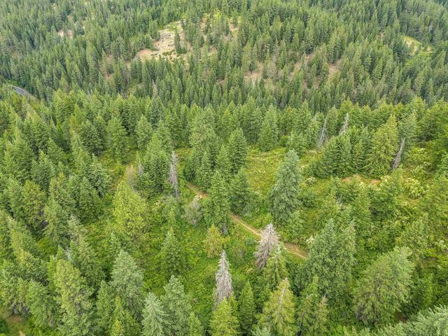 19960 + 19970 N Mt Spokane Park Dr, Mead, WA 99021