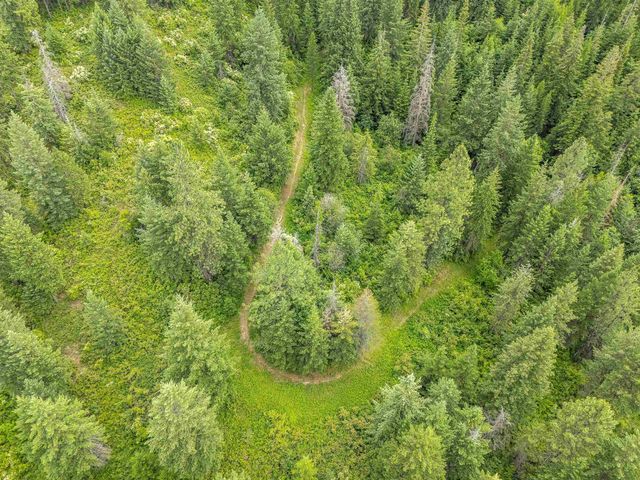 19960 + 19970 N Mt Spokane Park Dr, Mead, WA 99021