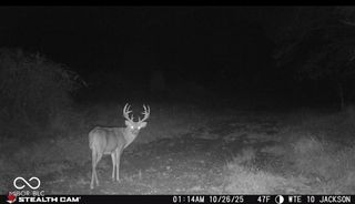 2000 Block W 1125 N, Freetown, IN 47235