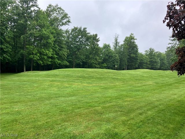 1254 Maxfli Drive, Akron, OH 44312