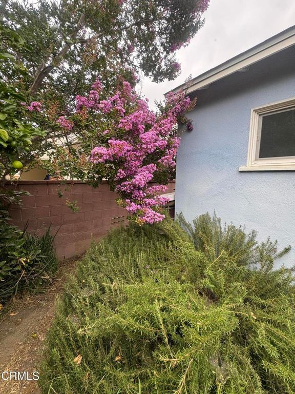 Image 24 of property listing at 6867 Cantaloupe Avenue, Valley Glen, CA 91405