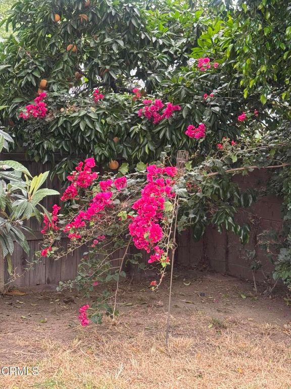 Image 25 of property listing at 6867 Cantaloupe Avenue, Valley Glen, CA 91405