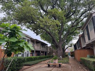 2595 Marilee Lane 4, Houston, TX 77057