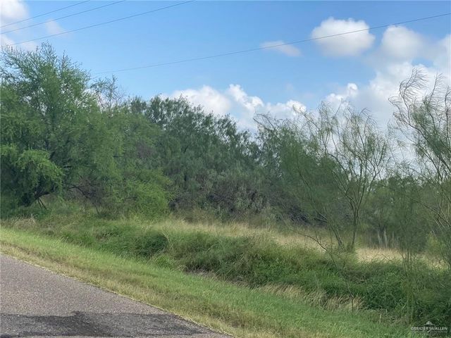 00 Bentsen Palm Drive, Mission, TX 78574