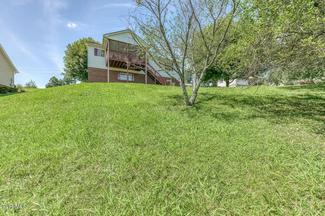 303 Spring House Court, Mount Carmel, TN 37645