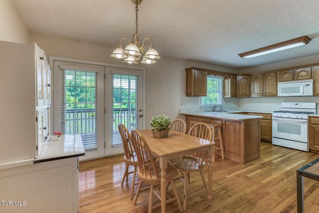 303 Spring House Court, Mount Carmel, TN 37645