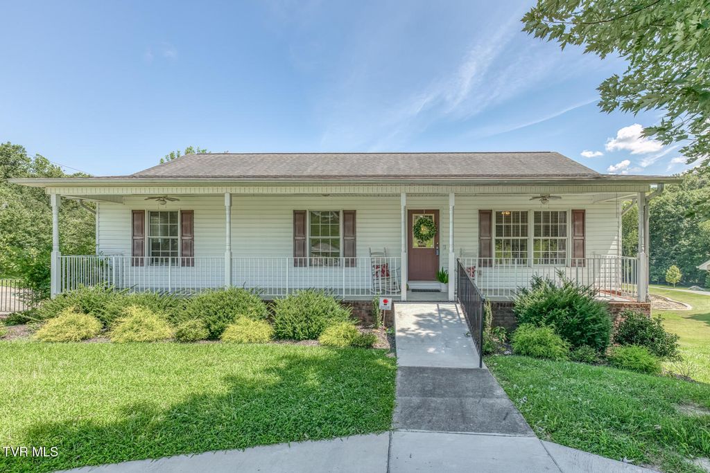 303 Spring House Court, Mount Carmel, TN 37645