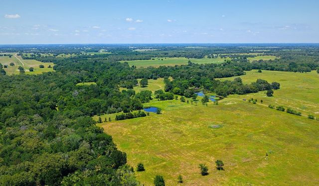 5380 County Road 132 - 81 Acres, Caldwell, TX 77836