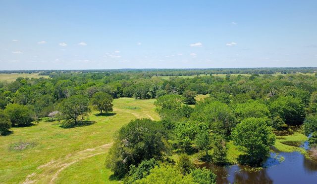 5380 County Road 132 - 81 Acres, Caldwell, TX 77836