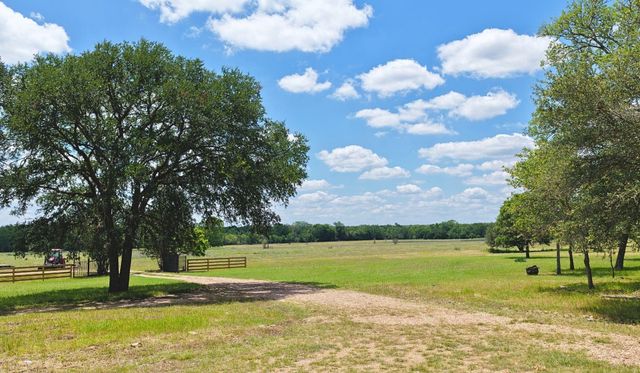5380 County Road 132 - 81 Acres, Caldwell, TX 77836