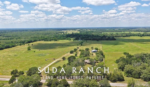 5380 County Road 132 - 81 Acres, Caldwell, TX 77836