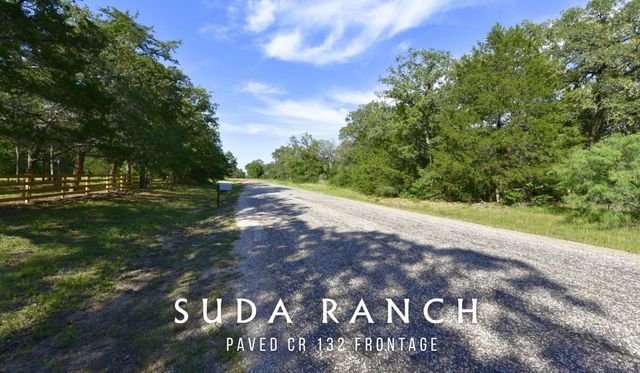 5380 County Road 132 - 81 Acres, Caldwell, TX 77836