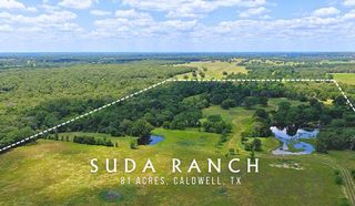 5380 County Road 132 - 81 Acres, Caldwell, TX 77836