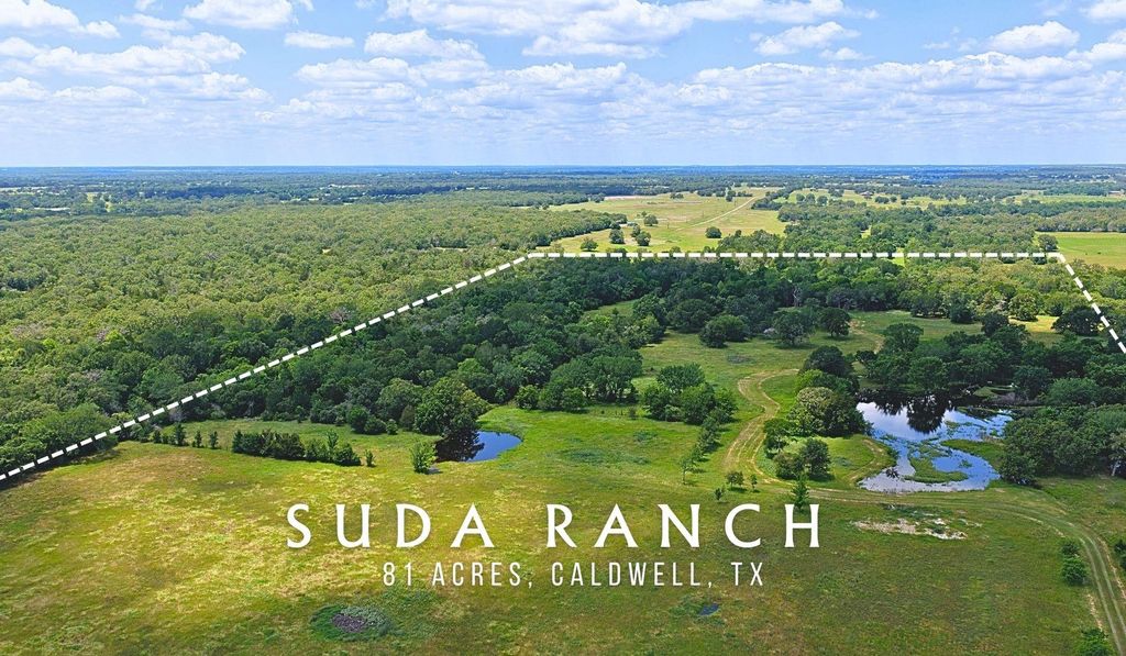 5380 County Road 132 - 81 Acres, Caldwell, TX 77836