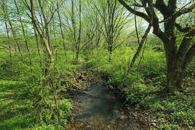 2705 Johnson Branch Rd, Leoma, TN 38468